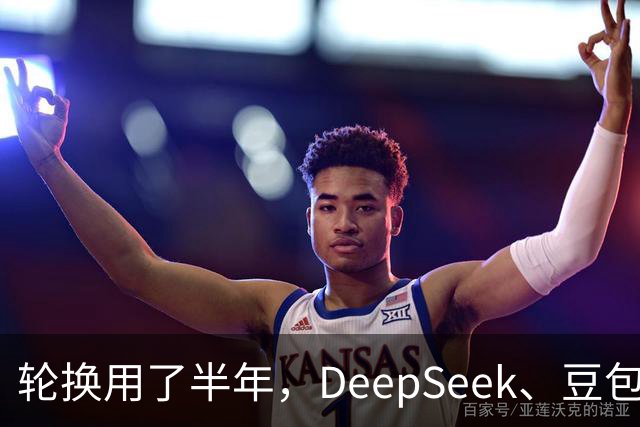 轮换用了半年，DeepSeek、豆包、kimi、千问我最终留下谁